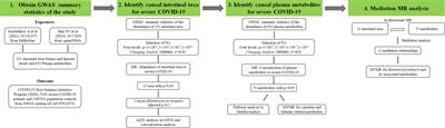 Systematic Mendelian randomization study of the effect of gut microbiome and plasma metabolome on severe COVID-19